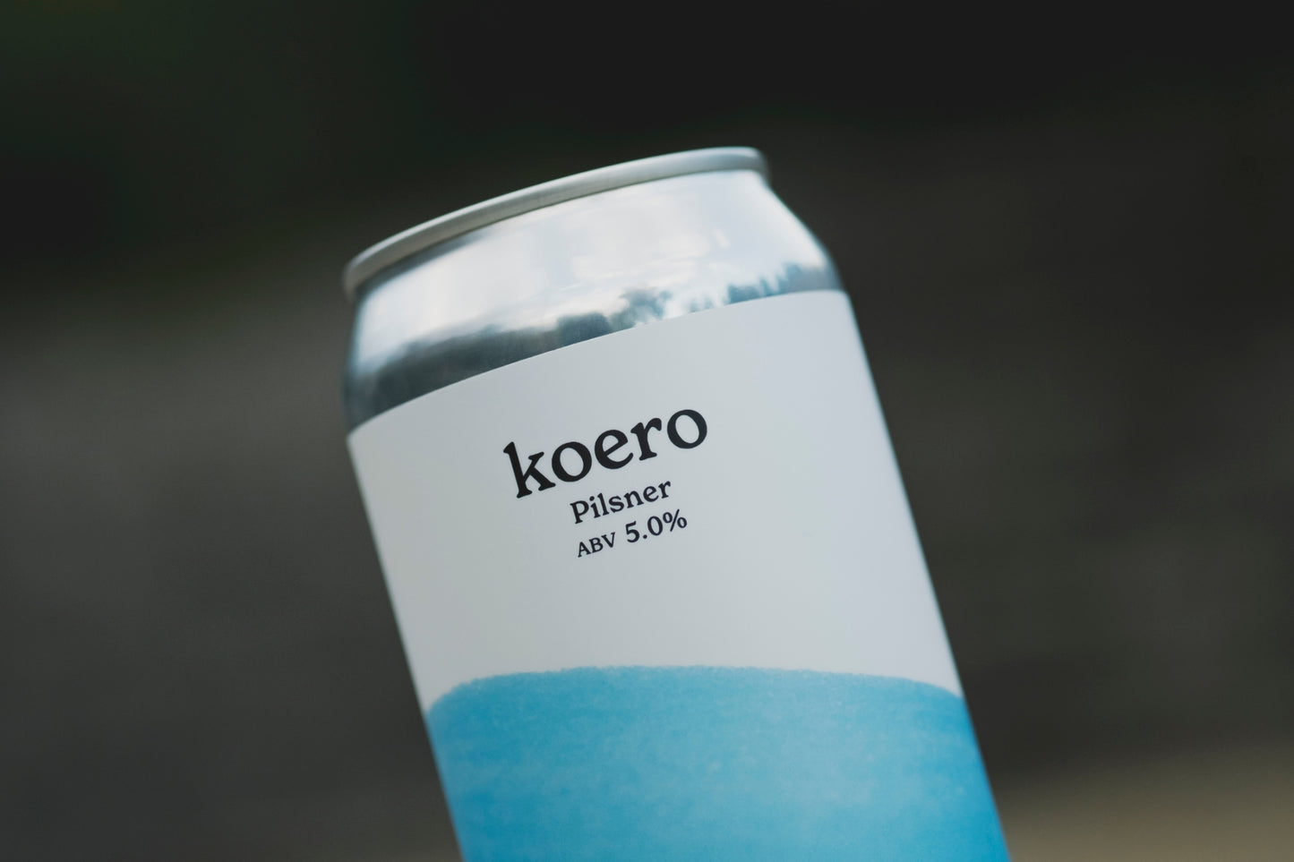 koero (6缶セット)