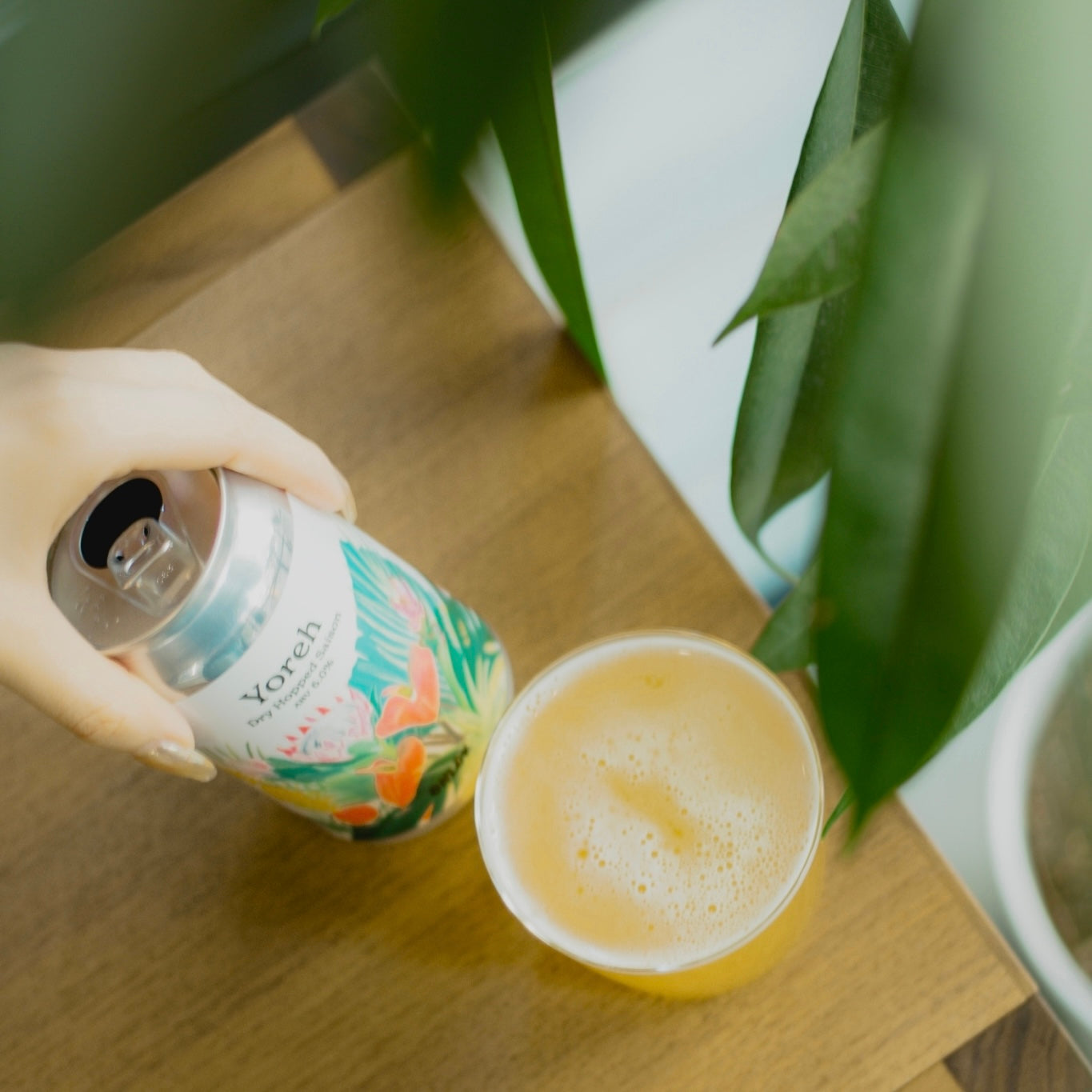 THIS IS OHLOYアソートセット(6缶セット)