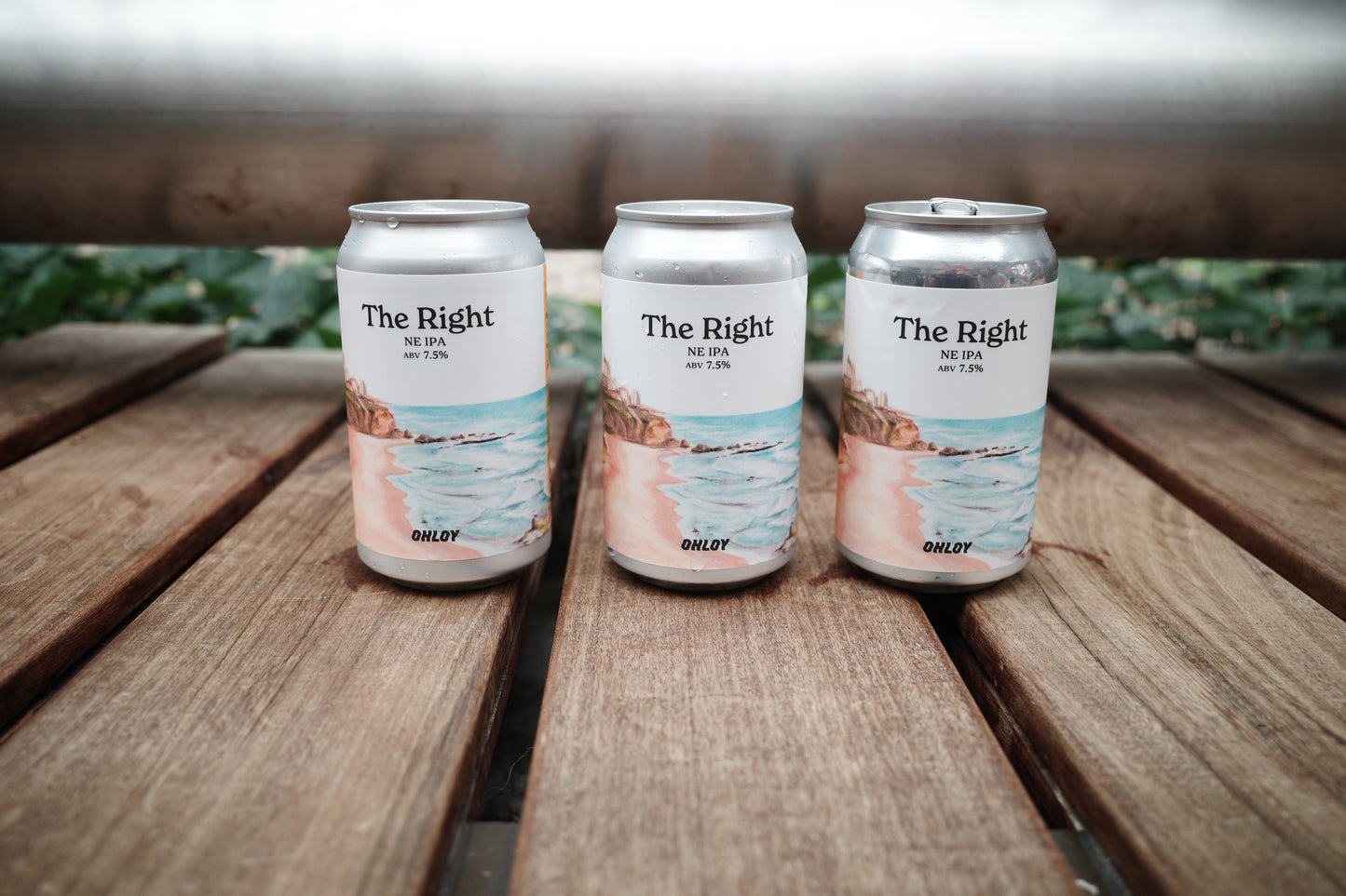 The Right (6缶セット)