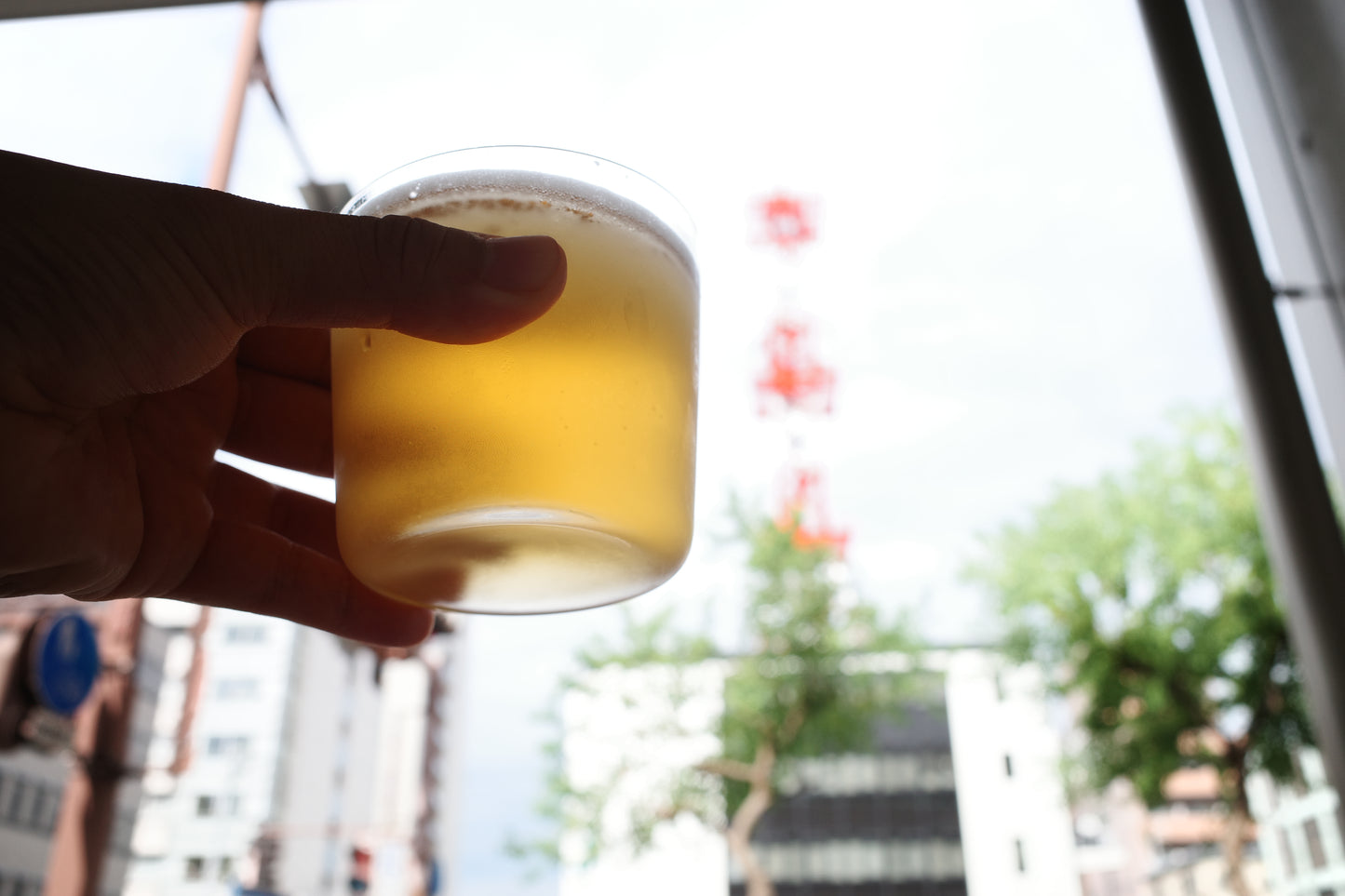 Sanuki Go Round Session IPA (6缶セット)