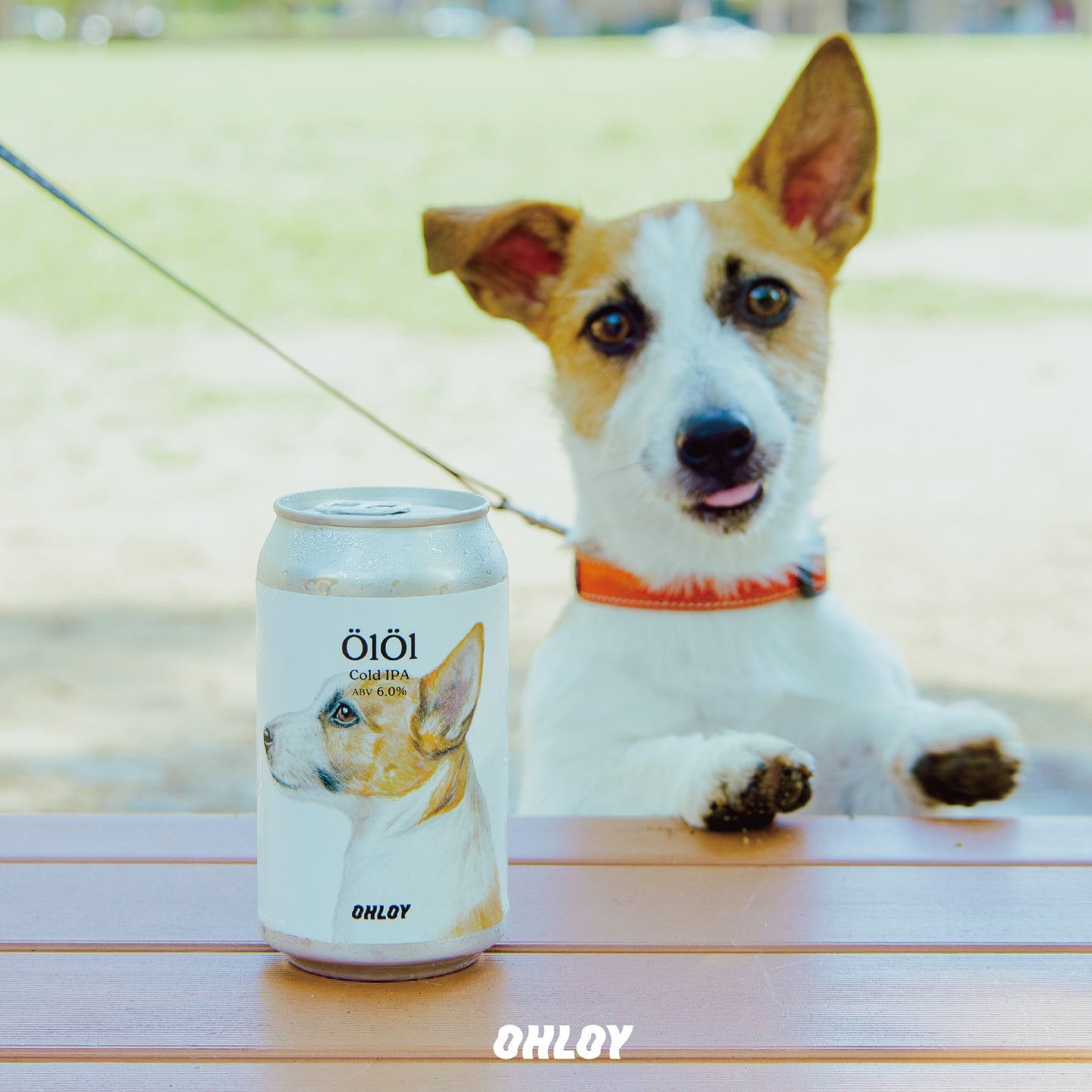 ÖlÖl (6缶セット)