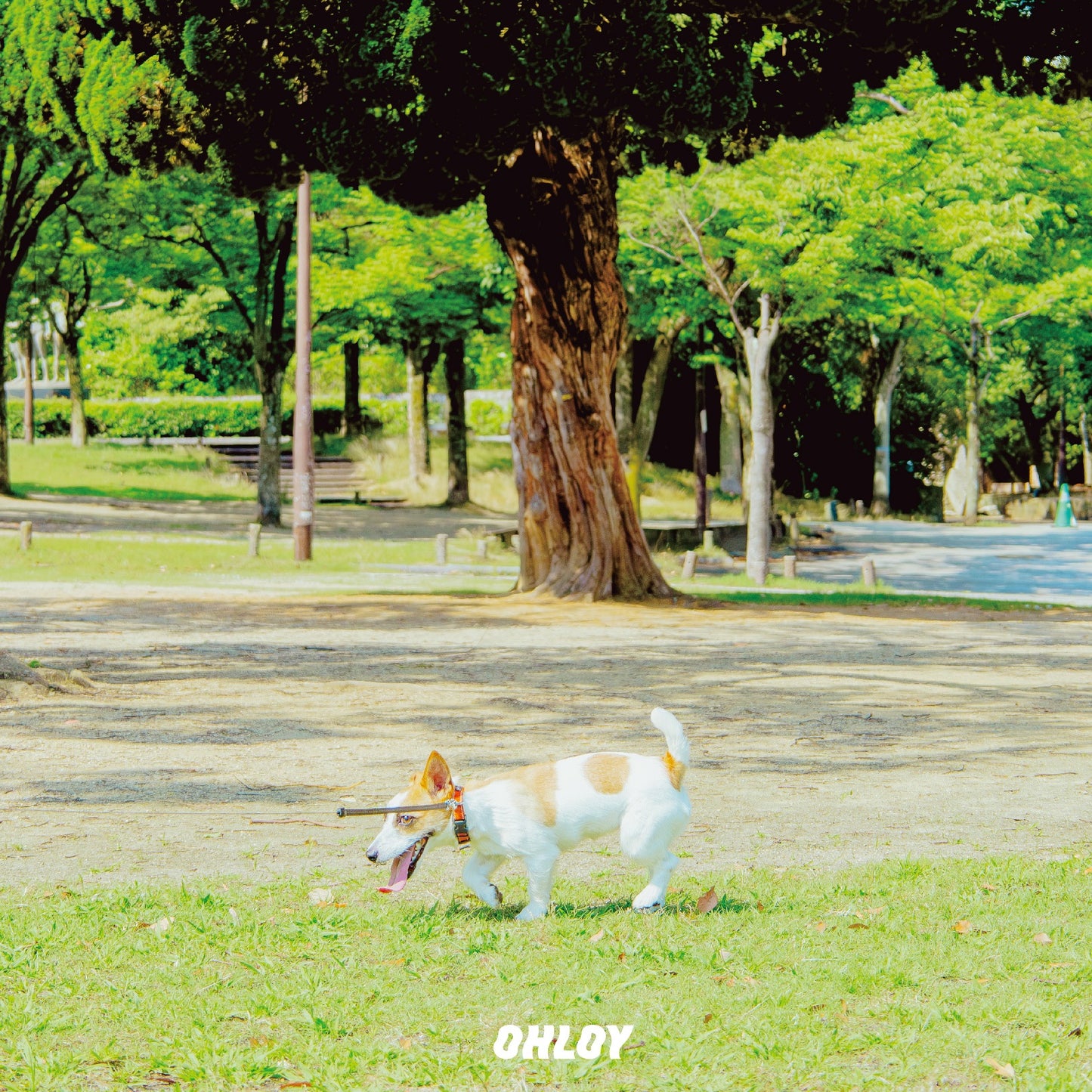 ÖlÖl (6缶セット)