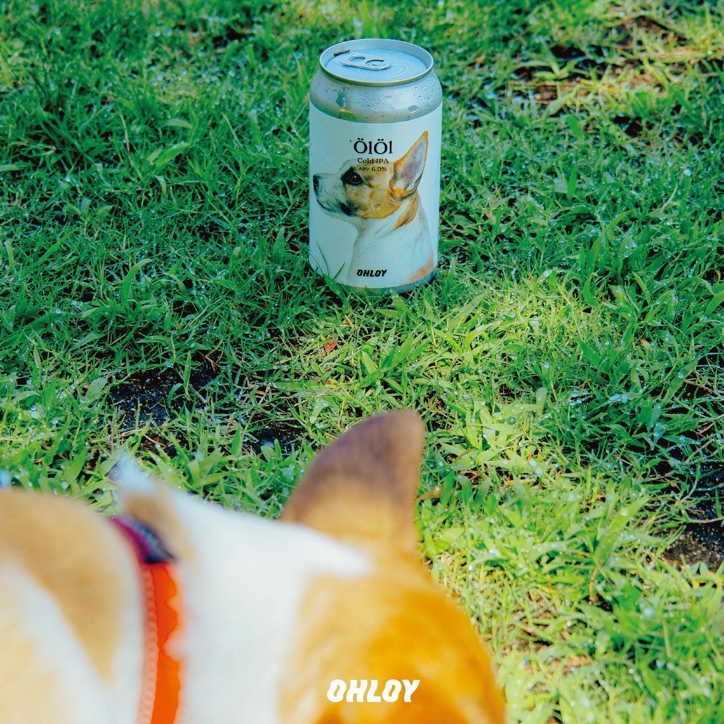 ÖlÖl (6缶セット)