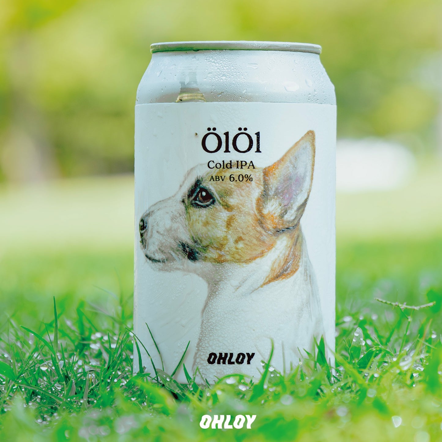 ÖlÖl (6缶セット)