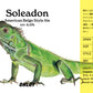 Soleadon (6缶セット)