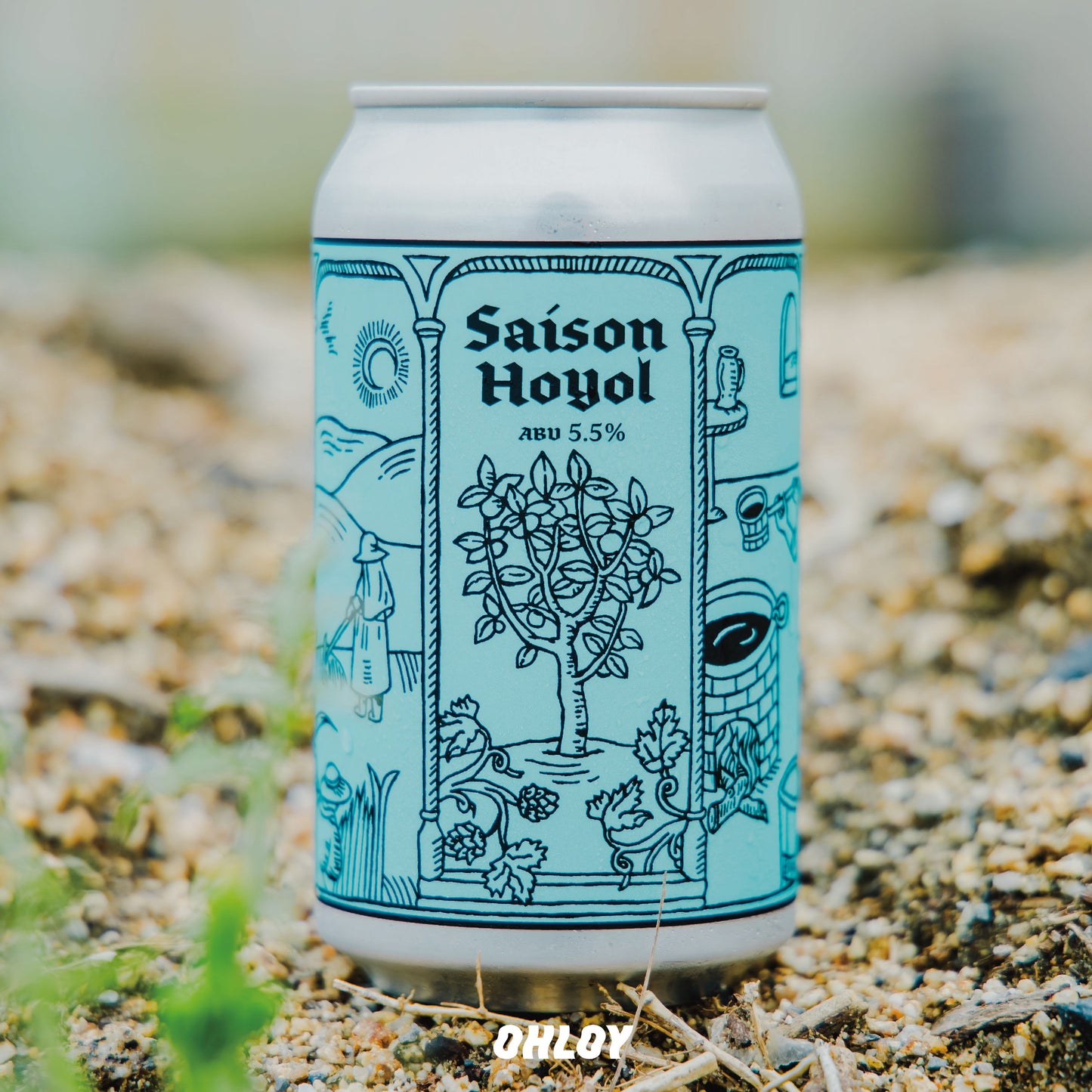 Saison Hoyol (6缶セット)