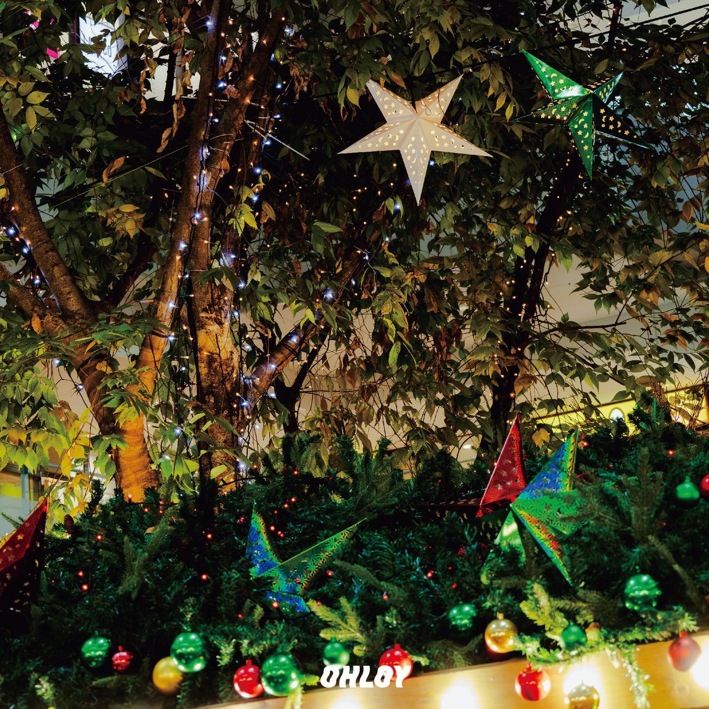 Prost (6缶セット)