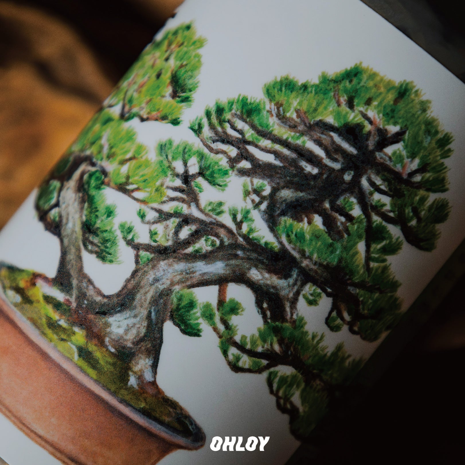Seki (6缶セット) – OHLOY ONLINE STORE