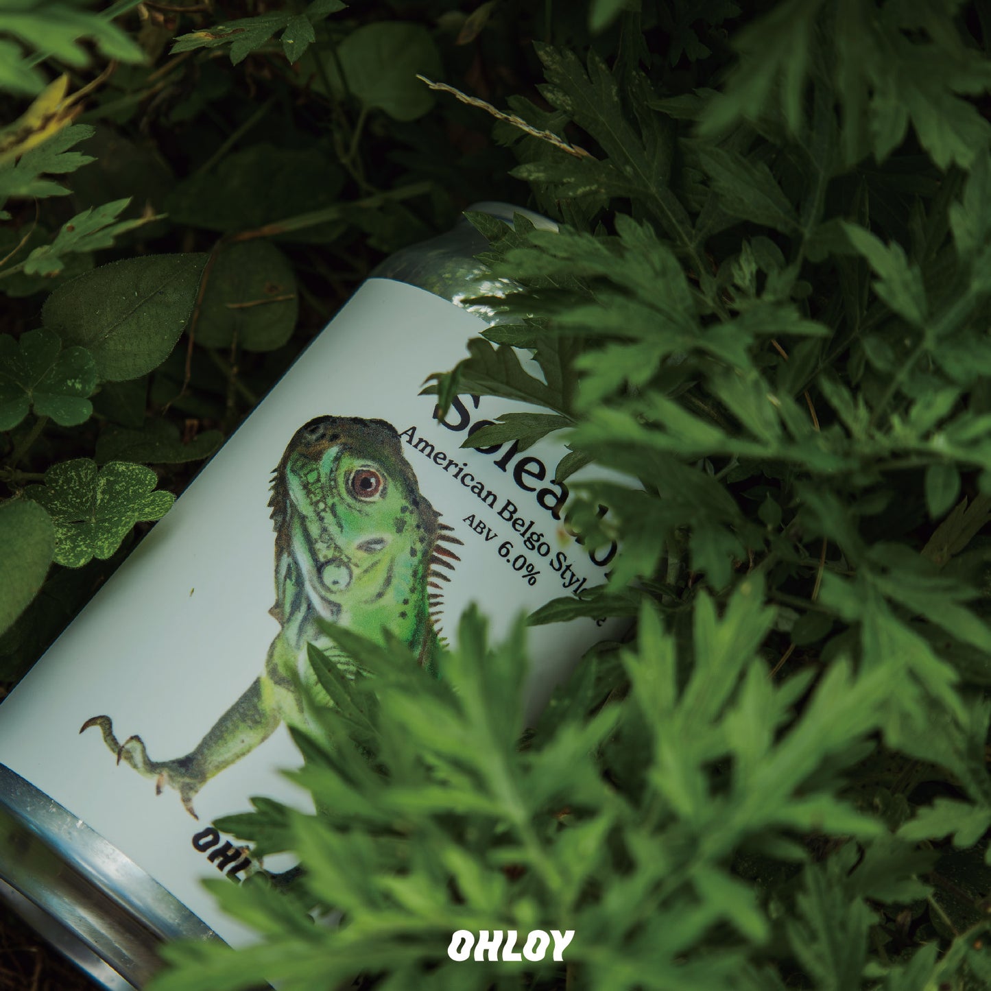 Soleadon (6缶セット)