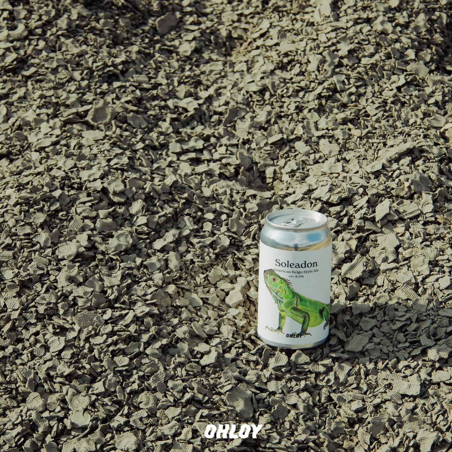 Soleadon (6缶セット)