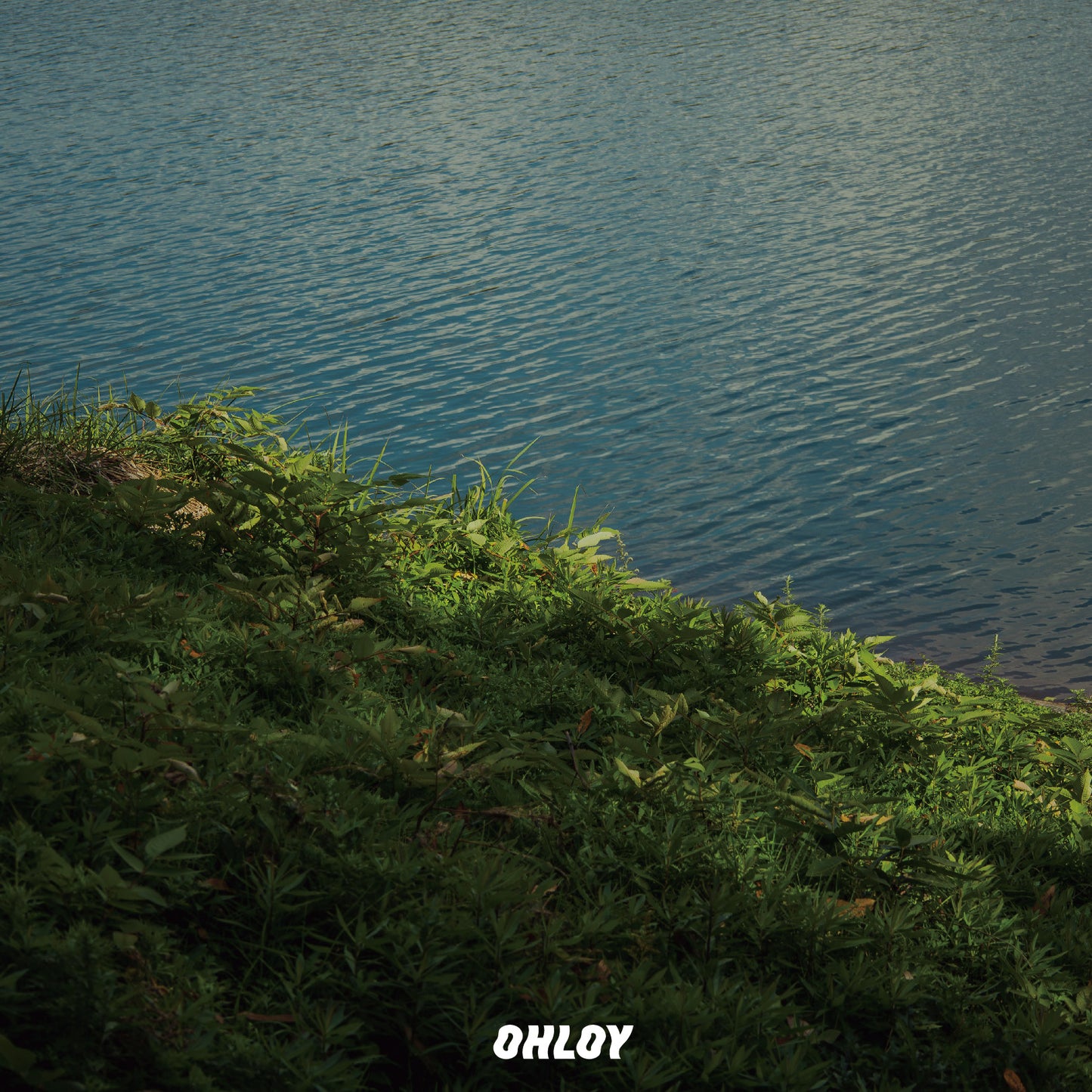 Soleadon (6缶セット)