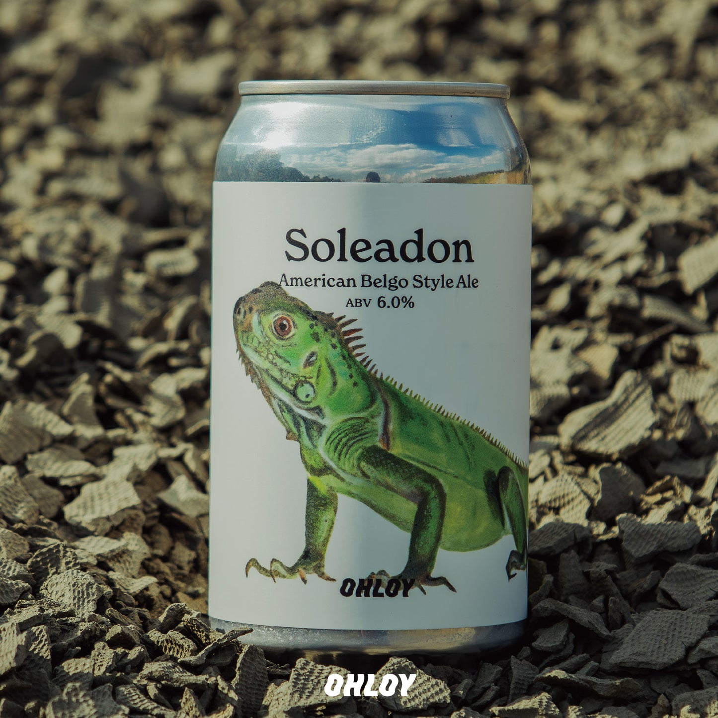 Soleadon (6缶セット)