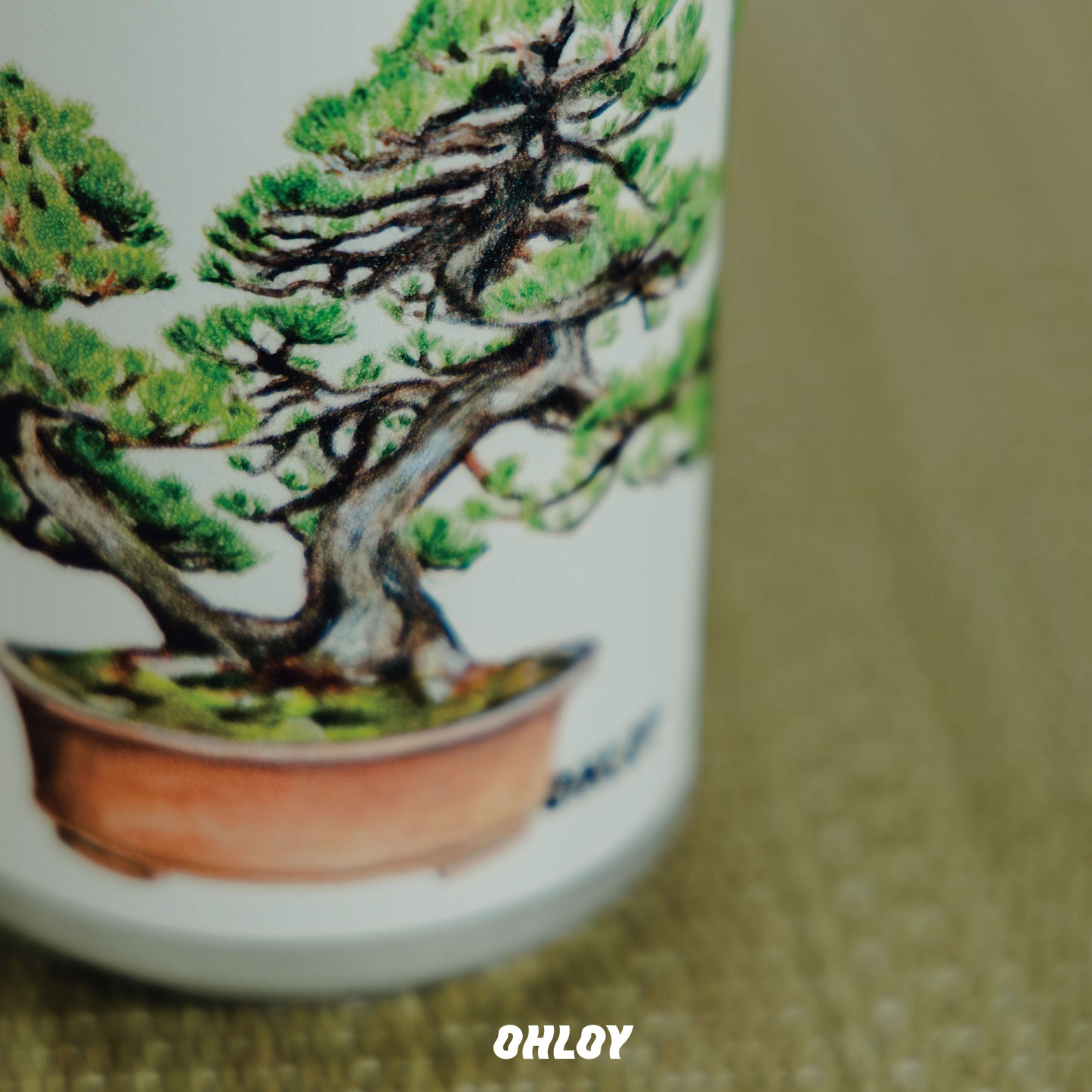 Seki (6缶セット)