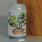 Seki (6缶セット)