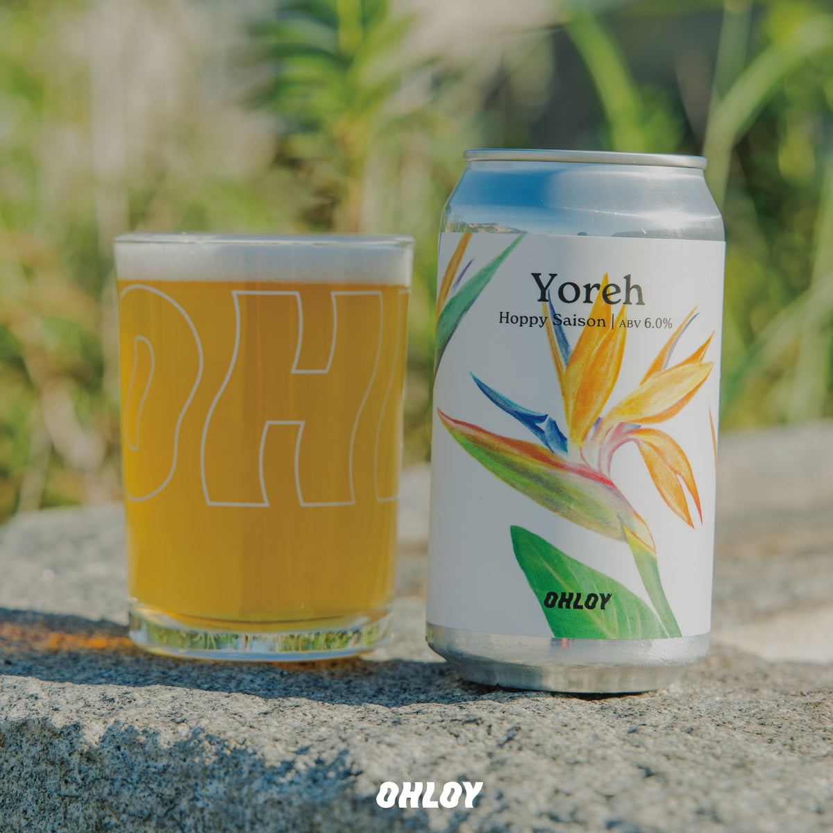 THIS IS OHLOYアソートセット（6缶セット）